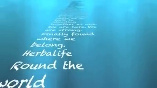 HERBALIFE Song