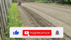 Картофелесажалка ВРМЗ с мотоблоком Беларус