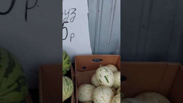 Цена на арбузы в Крыму смотреть онлайн