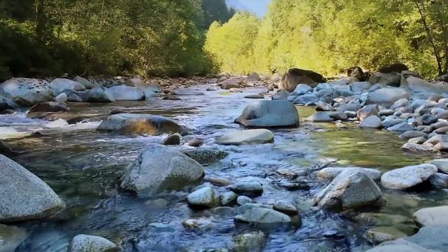 Guided Meditation: 30 Minutes Guided Meditation - Track 04