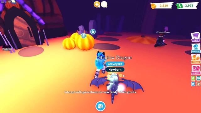 I bought a LEGENDARY Pet in Roblox Adopt Me! смотреть онлайн