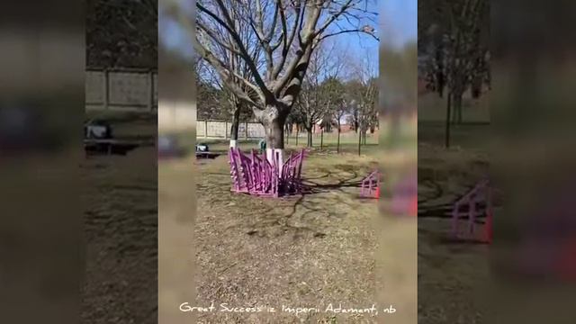 Корги Макс готовится к соревнованиям по аджилити смотреть онлайн