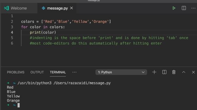 Python Tutorial for Absolute Beginners - #3 Looping through Lists (fast pace) смотреть онлайн