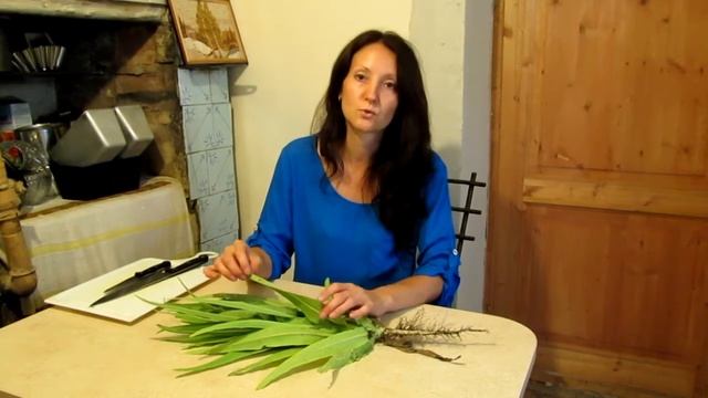 Спаржевый салат (уйсун). Выращиваю в первый раз. Делюсь впечатлениями. смотреть онлайн