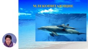 Познание мира, 3-й класс, Водная среда обитания