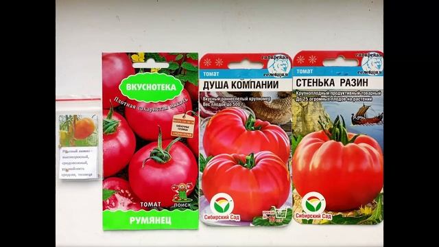 Самые крупноплодные томаты 2023 смотреть онлайн