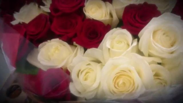 Букет цветов из 51 красной и белой розы! | Bouquet of 51 red and white roses! смотреть онлайн