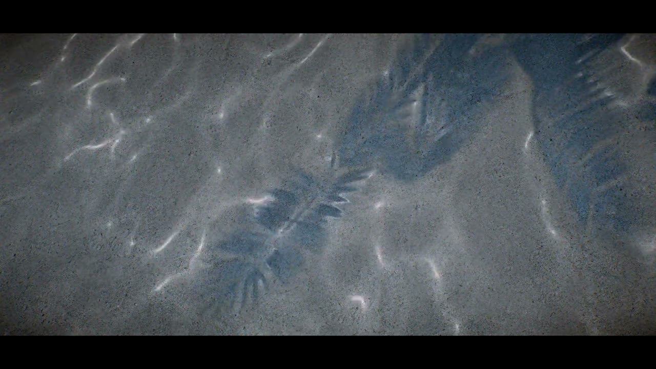 Underwater Light Interference