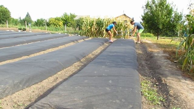 Самодельный дырокол для агроволокна. (2020.09.03). смотреть онлайн