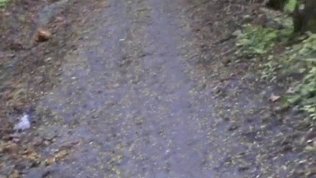 Самоуправление граждан смотреть онлайн