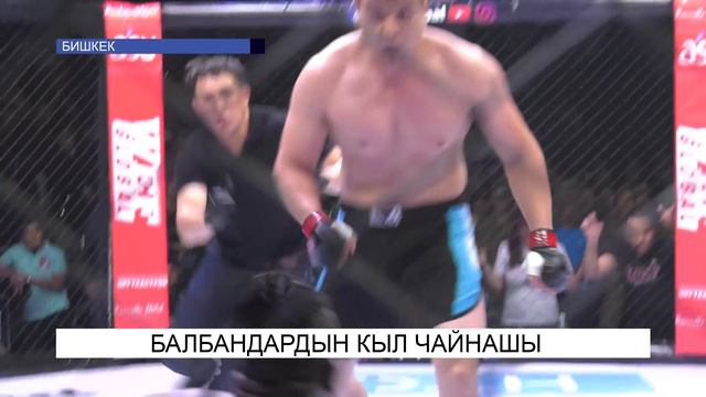 Балбандардын кыл чайнашы смотреть онлайн