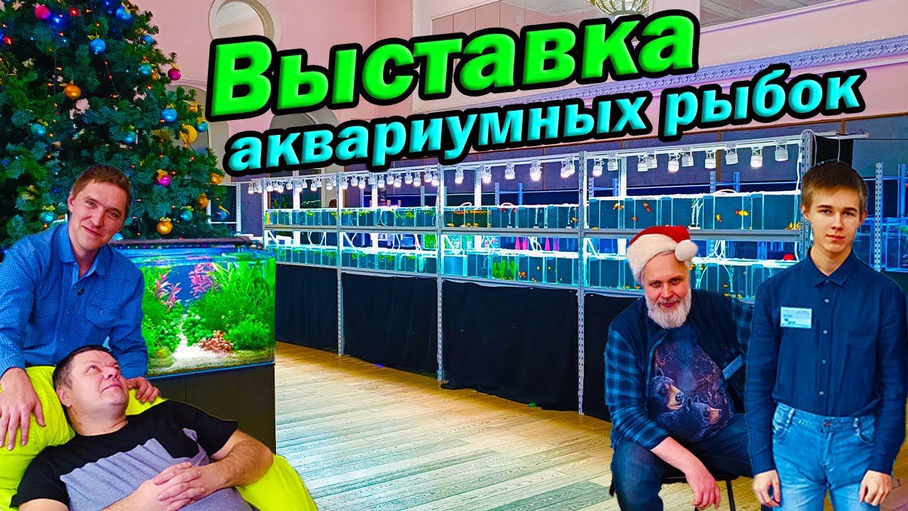 Выставка аквариумных рыбок 2023 Красивые петушки, дискусы и акваскейпы смотреть онлайн
