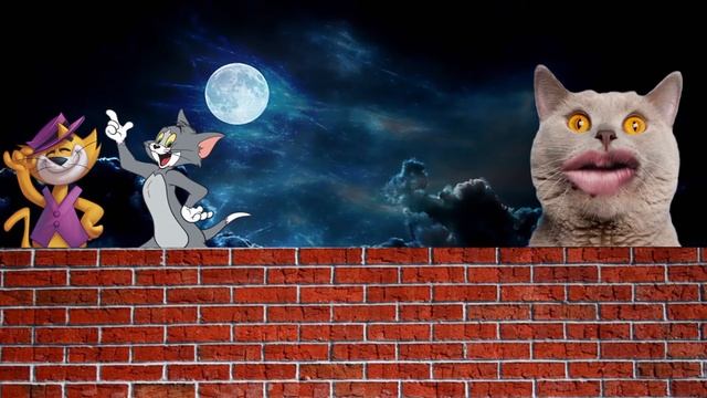 EL GATO VOLADOR - ANIMATION смотреть онлайн