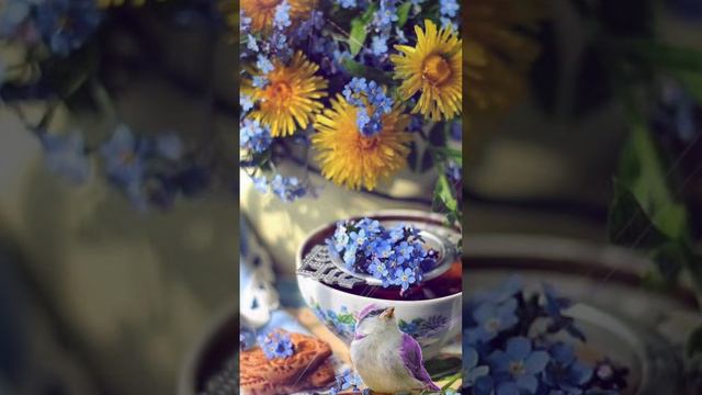 С добрым утром,с новым днём!