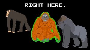 Find the Animals 2 - Sharks, Whales, Primates & More - The Kids' Picture Show (Learning Video)