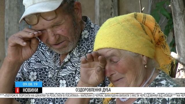 У Холодному Яру рятують тисячолітній дуб Залізняка смотреть онлайн
