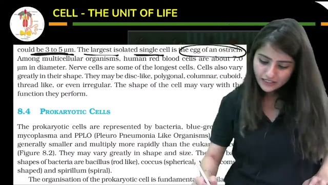Cell: The Unit of Life | Part 1 | NEET 2024 | Seep Pahuja смотреть онлайн