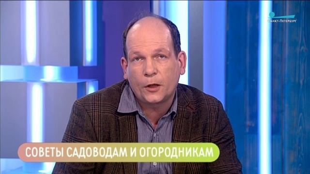 Начало дачного сезона Консультация эксперта смотреть онлайн