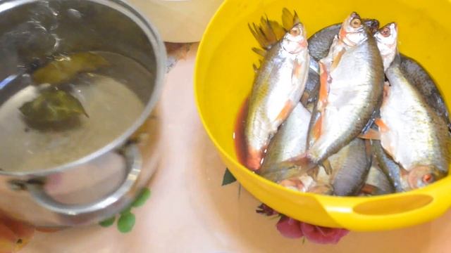 Малосольная селедка из плотвы в домашних условиях. смотреть онлайн