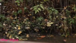 Royksopp   Here She Comes Again Dj Antonio Extended Mix