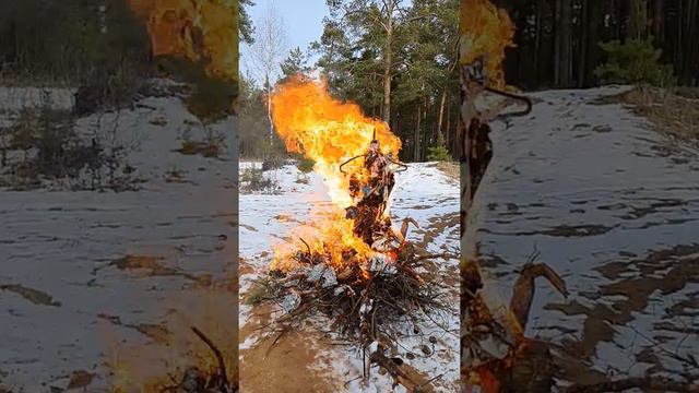 Масленица 2020 в Твери смотреть онлайн