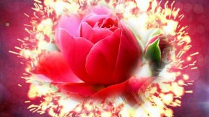 Футаж. Цветочный фон 114