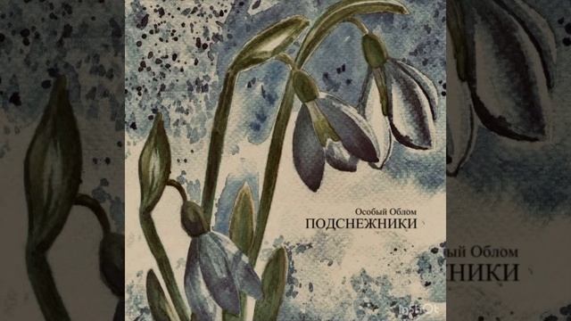 Особый Облом "Подснежники"