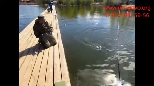 Платная рыбалка смотреть онлайн