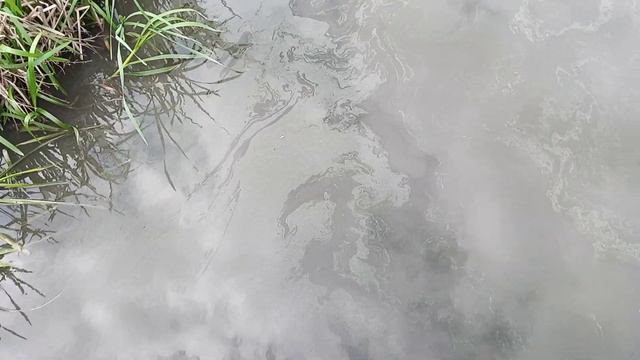 Петропавлівська Борщагівка , став , гаражі ..Березка .. зливають хімію .СОС! смотреть онлайн