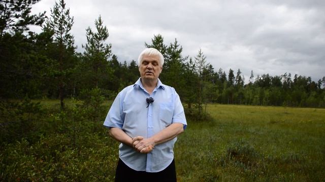 Экология мохообразных смотреть онлайн