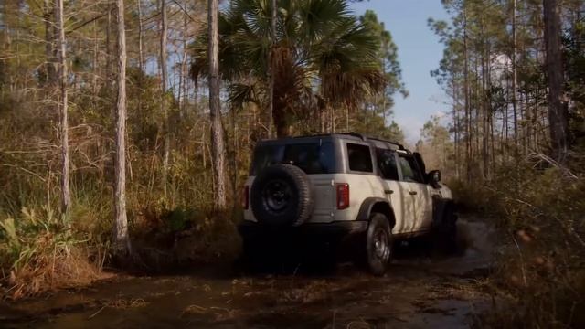Ford Bronco Everglades B-Roll | RYTORO смотреть онлайн