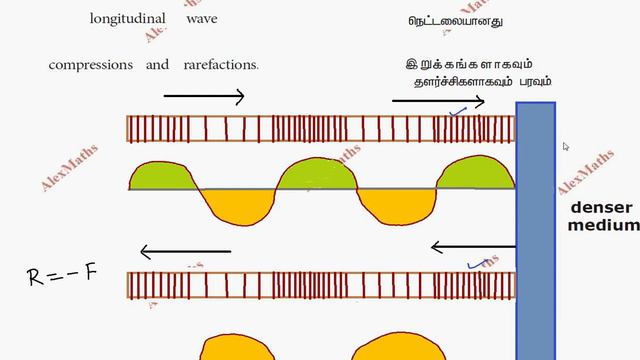 Class 10 Science Reflection of sound Acoustics Unit 5 physics TamilNadu Syllabus Alexmaths смотреть онлайн