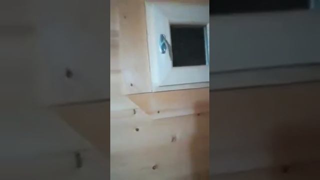 Видеообзор. Баня квадро 5 м, диаметр 210 см, цвет Калужница смотреть онлайн