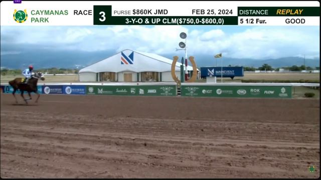 JAMAICA RACING: Lord Of Ajahlon At 6-1 In Sun Feb 25, 2024, 3rd смотреть онлайн