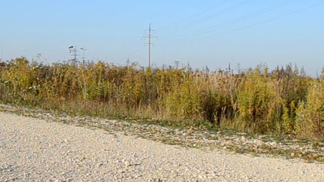 Упражнения на Ирбисе смотреть онлайн