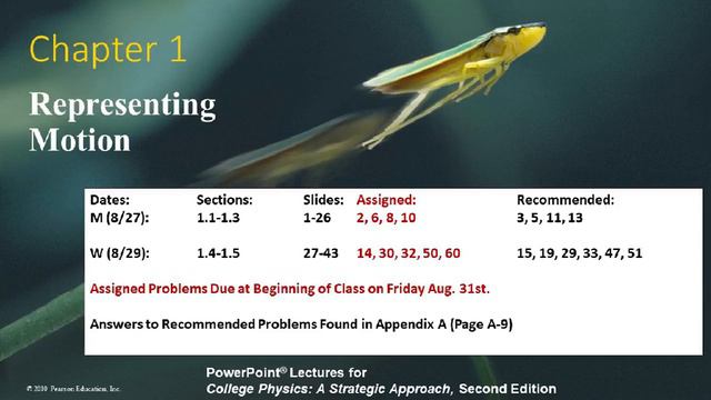 test lower screen res 1024 768 смотреть онлайн