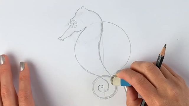 Beginners how to draw a seahorse смотреть онлайн