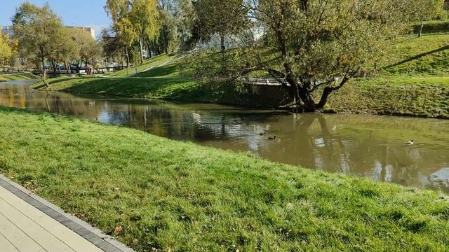 Прогулка по парку п. Воскресенское (Новая Москва) смотреть онлайн