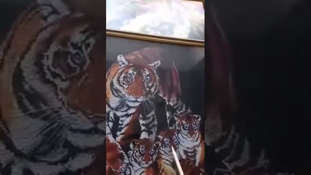 Моя первая вышивка на черной канве. Золотое руно "Ночная сованна" смотреть онлайн