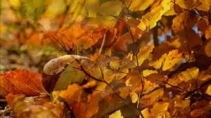 Зачем над дверью нужно воткнуть новую иголку Примета, которую стоит знать