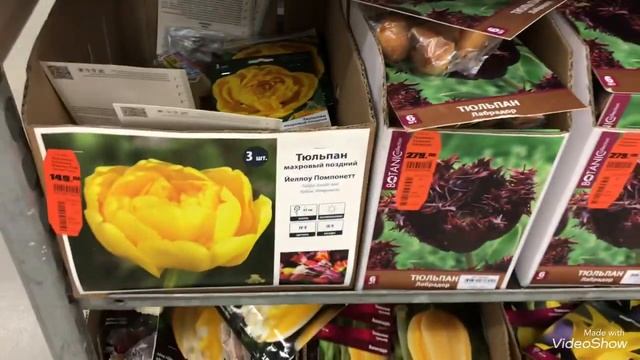 Распродажа.Луковичные на Осень 2021 в Оби. смотреть онлайн