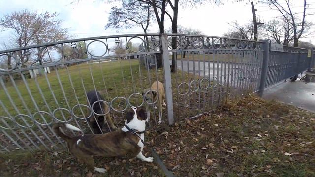 Ох, эти девчонки! смотреть онлайн