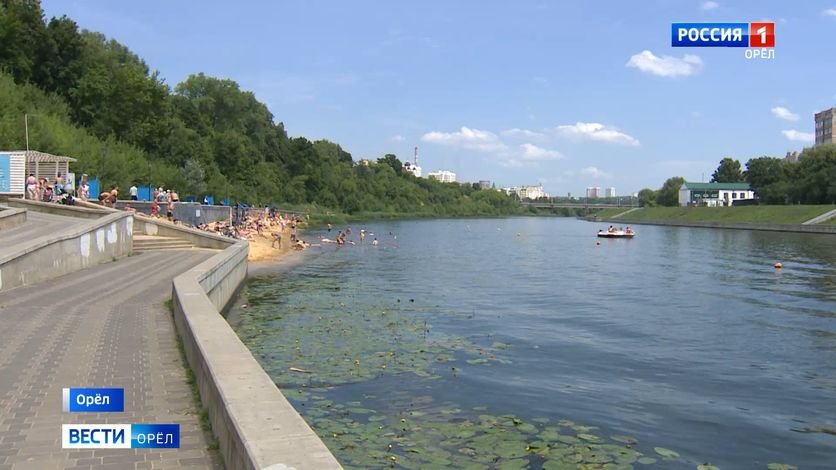 Орловские спортсменки приехали с соревнований в Твери со спасенной жизнью в активе смотреть онлайн