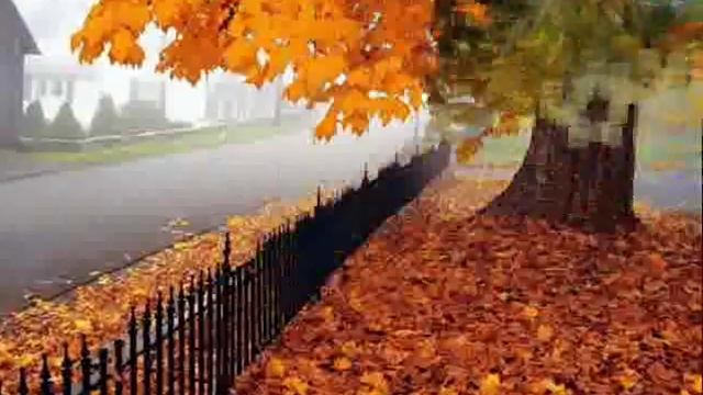 Эх,подружки-веселушки!!!.wmv смотреть онлайн