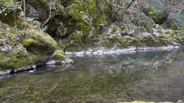 Sound of river / Звуки реки / Sounds of nature / Sound for meditation / Звуки природы для медитации смотреть онлайн