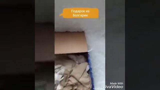 Подарок от моего нового Директора! Спасибо, Вероника! смотреть онлайн