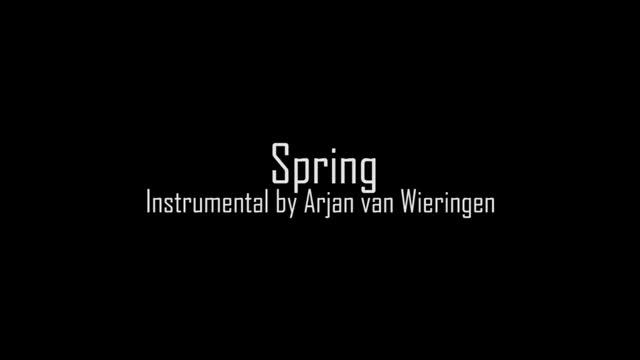 Rammstein - Spring Instrumental | Arjan van Wieringen смотреть онлайн