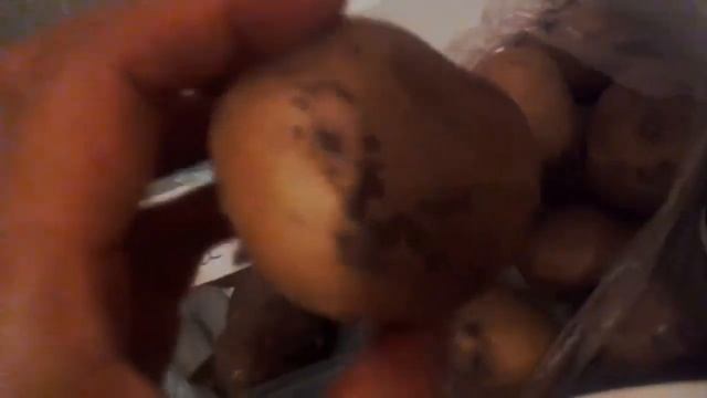 Картофель сорта Джелли , Метеор , Галла , Ред Скарлетт смотреть онлайн