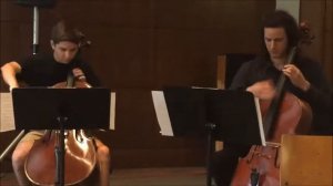 despacito - 2 cellos
