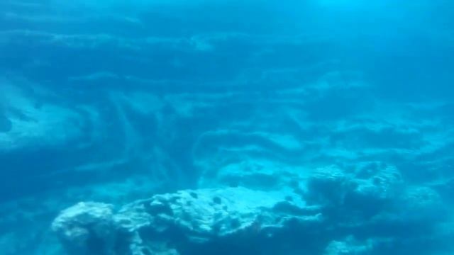 Черногория , сьемки под водой смотреть онлайн